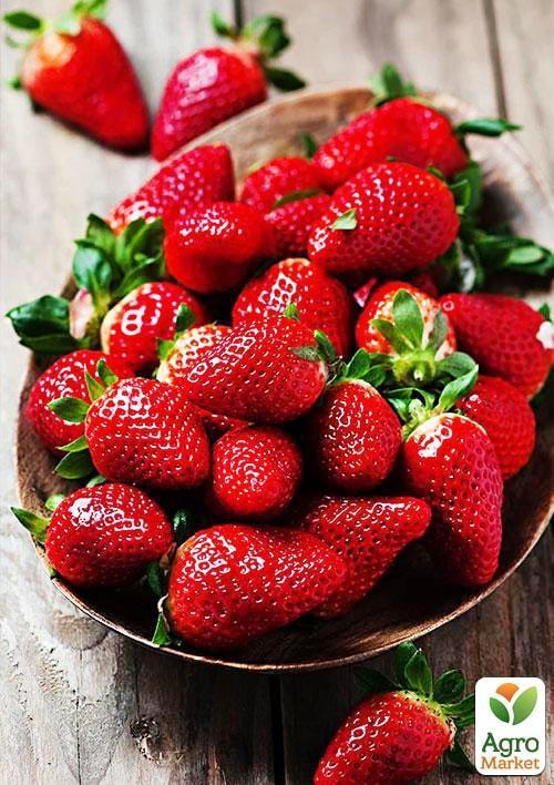 Ексклюзив! Полуниця яскраво-червона "Місіс Віллоу" (Mrs. Willow) (преміальний ремонтантний сорт, італійська селекція)