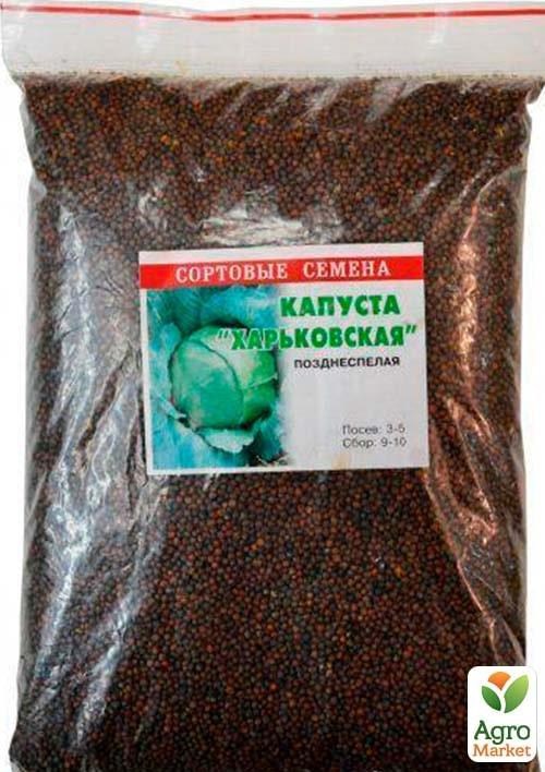 Капуста "Харьковская зимняя" ТМ "Весна" 500г - фото 2