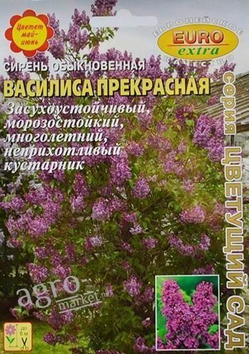 Сирень обыкновенная "Василиса прекрасная" ТМ "Аэлита" 0.1г