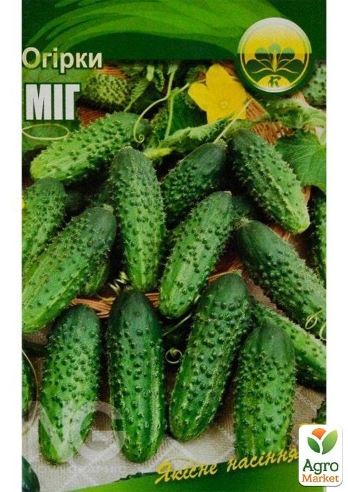 Огірок "Мить" ТМ "Весна" 0.5г - фото 2