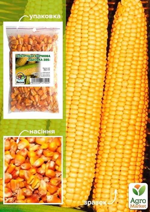 Кукурудза кормова "Одеська 385" ТМ "Весна" 100г