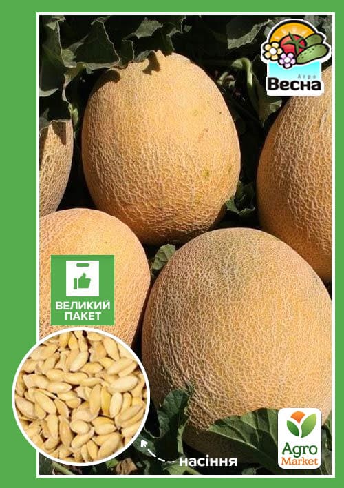 Дыня "Ананас" (Большой пакет) ТМ "Весна" 2,5г