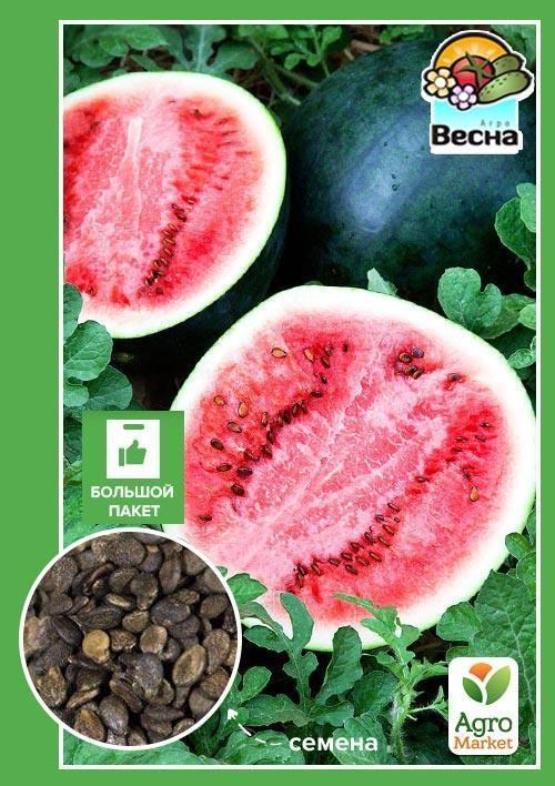 Кавун "Цукровий Малюк" (Великий пакет) ТМ "Весна" 4г