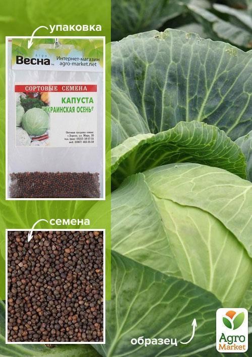 Капуста "Украинская Осень" (Зипер) ТМ "Весна" 3г