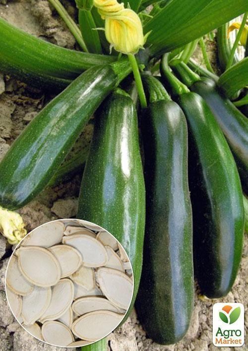 На развес Кабачок "Скворушка" ТМ "Весна" цена за 8г
