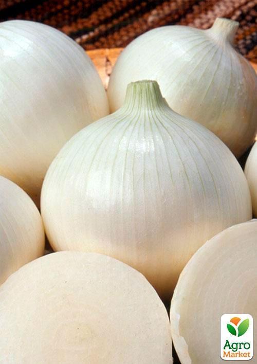 Цибуля"Біла королева" (Зипер) ТМ "Весна" 1г - фото 2