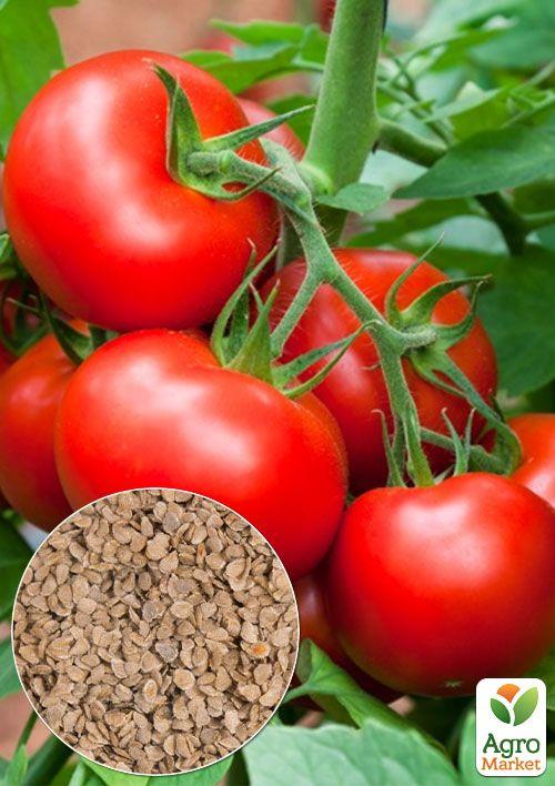 На вагу Томат "Волгоградський 5/95" ТМ "Весна" ціна за 1г