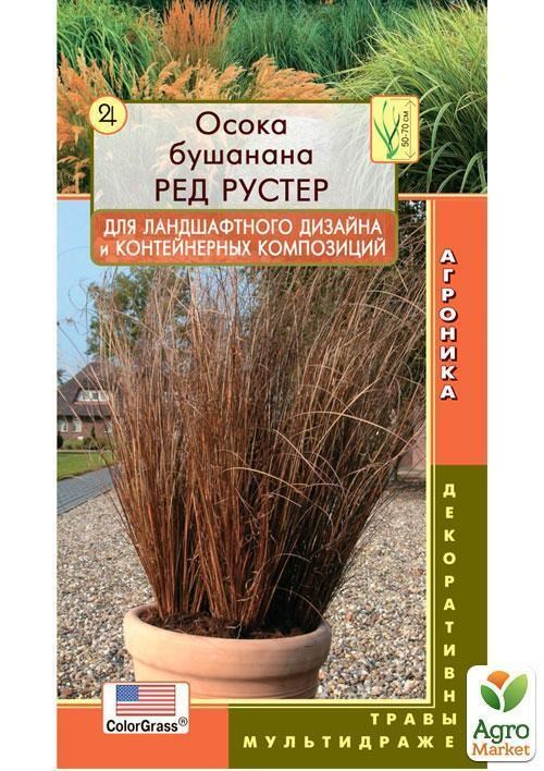 Осока "Буша Ред Рустер" ТМ "Плазмові насіння" 3шт