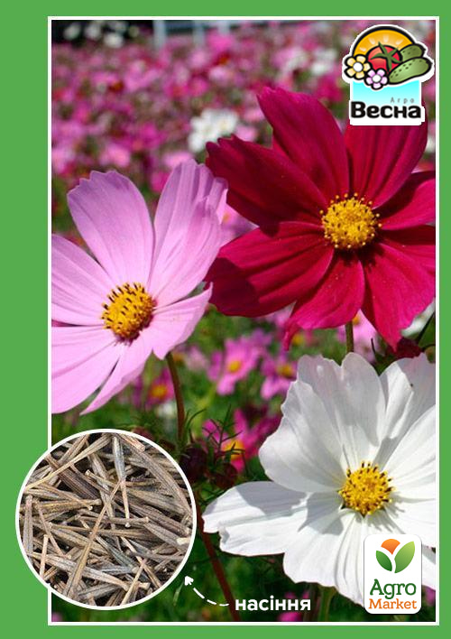 Космея "Космос" ТМ "Весна" 0.3г