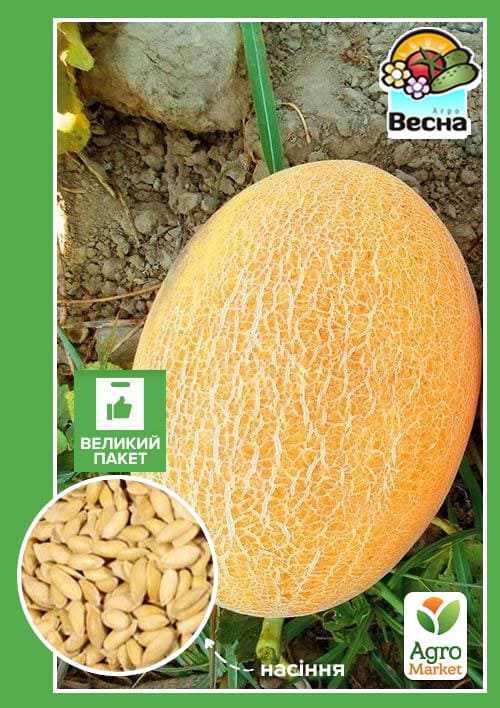 Дыня "Сахарная" (Большой пакет) ТМ "Весна" 2,5г