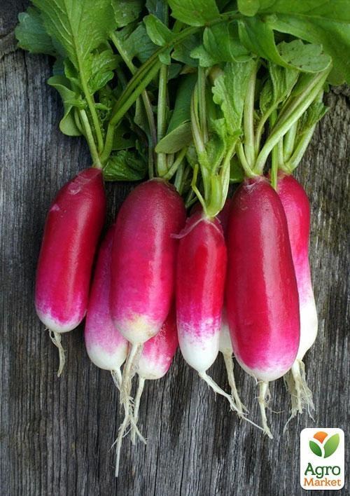 Редис "18 дней" (в банке) ТМ "Весна Органик" 20г