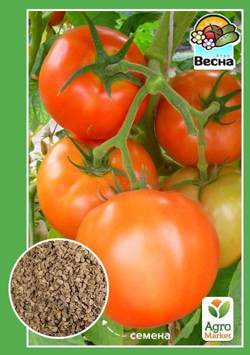 Томат "Клондайк" ТМ "Весна" 0.1г
