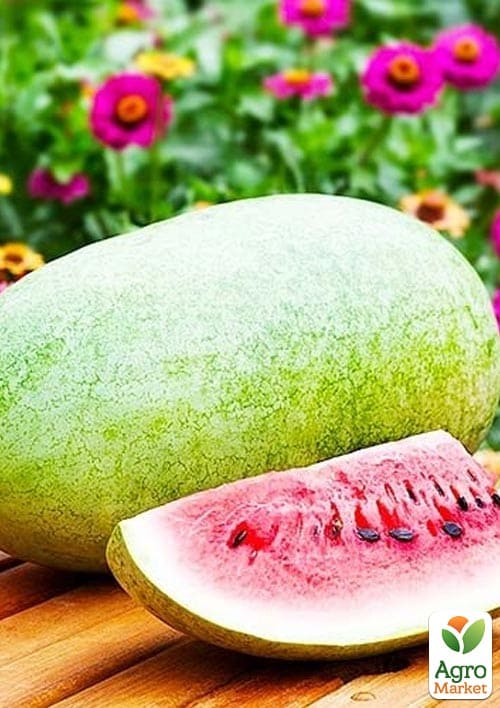 Кавун "Чарльстон Грей" ТМ "Beste Kern" 10шт - фото 3