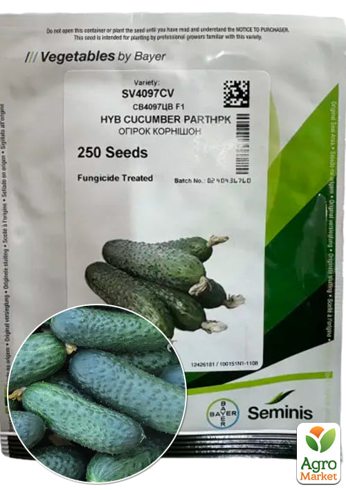 Огірок "СВ 4097 F1" ТМ "Seminis" 250шт