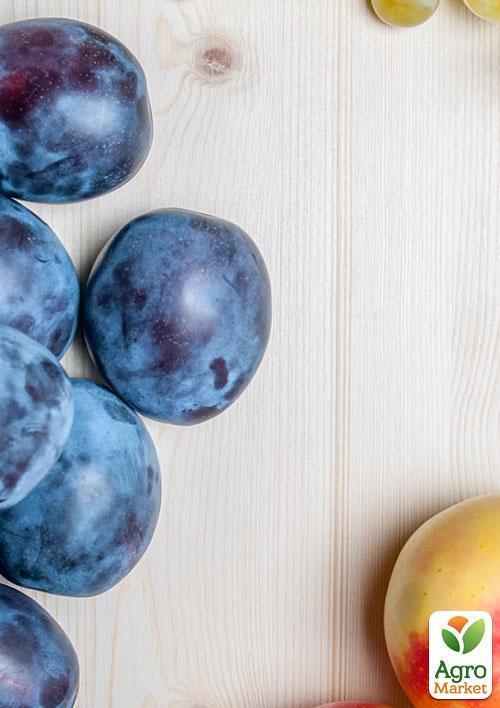 Слива "Кубанская ранняя" (летний сорт, ранний срок созревания) - фото 5
