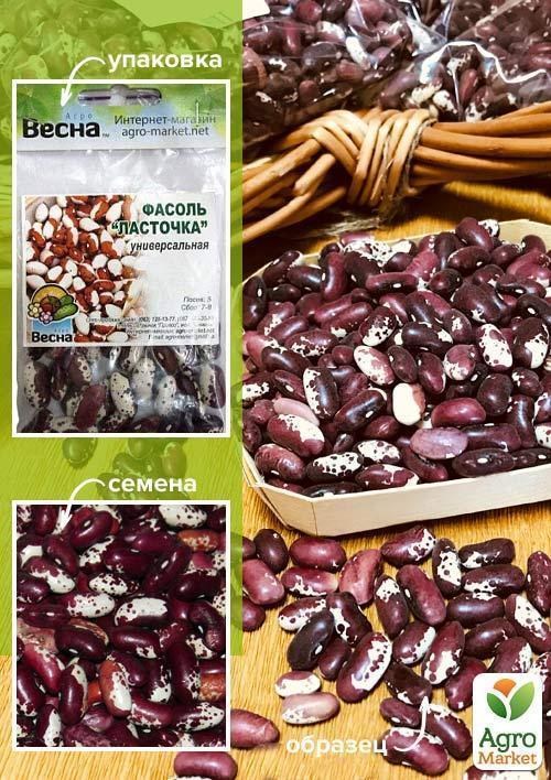Фасоль "Ласточка" (Зипер) ТМ "Весна" 5г