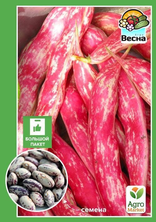 Квасоля спаржева "Бортолло" (Великий пакет) ТМ "Весна" 8г