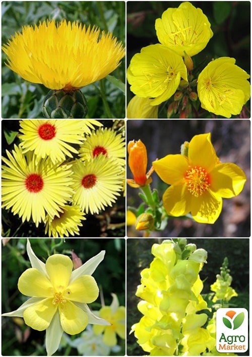 Декоративна суміш "Золота лавина" ТМ "Vesna Exclusive" 1г