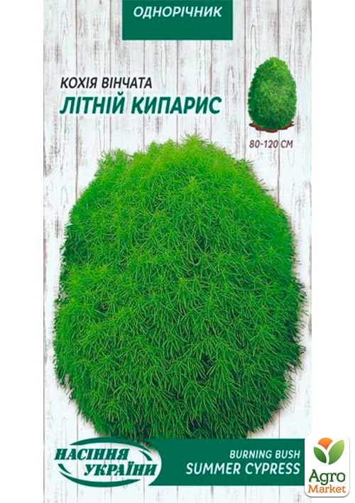 Кохия "Летний кипарис" ТМ "Семена Украины" 0.5г