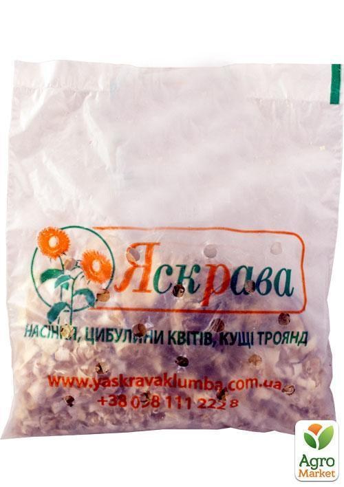 Лилия Гигант "Zagora"  - фото 2