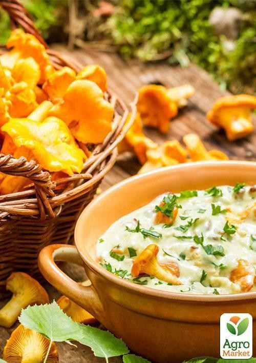 Сухий зерновий міцелій "Лисичка жовта" 100г - фото 2