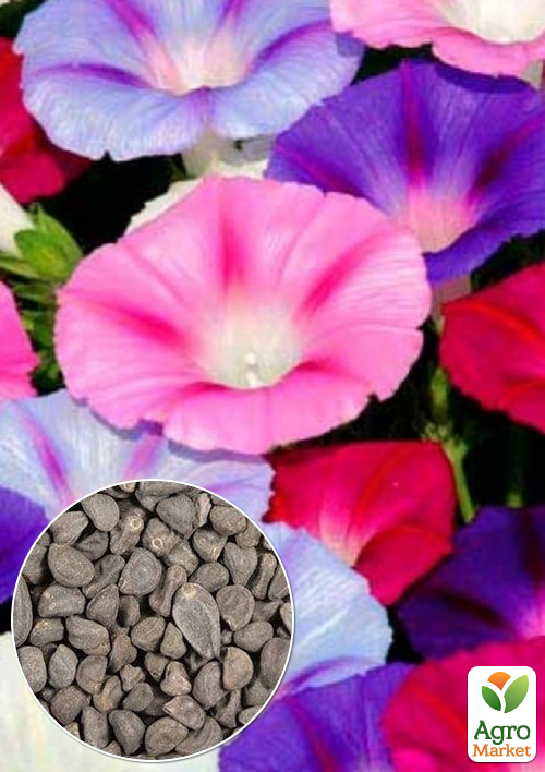 На развес Ипомея "Самба" ТМ "Весна" цена  за 2г