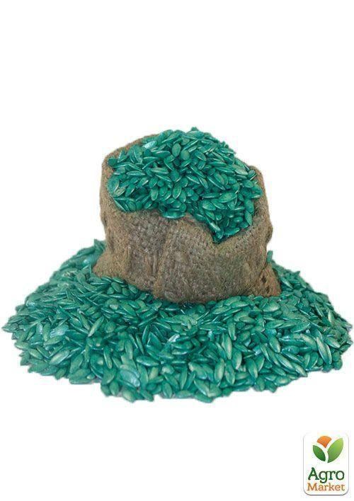 На вагу Огірок "Передгірний виноград F1" ТМ "Весна" ціна за 1г - фото 5