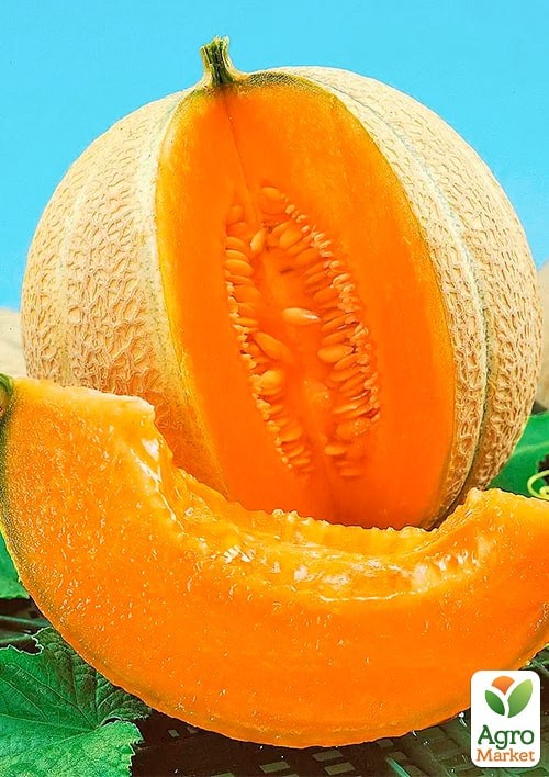 На развес Дыня "Искушение" ТМ "Весна" цена за 5г - фото 2