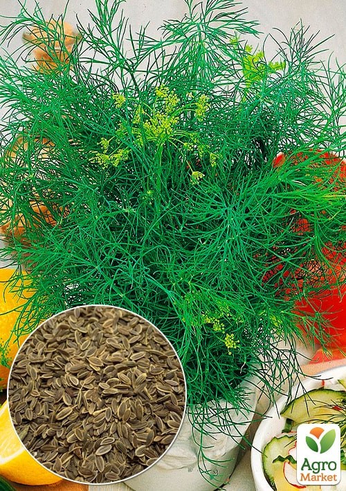 На развес Укроп "Санат" ТМ "Весна" цена за 20г