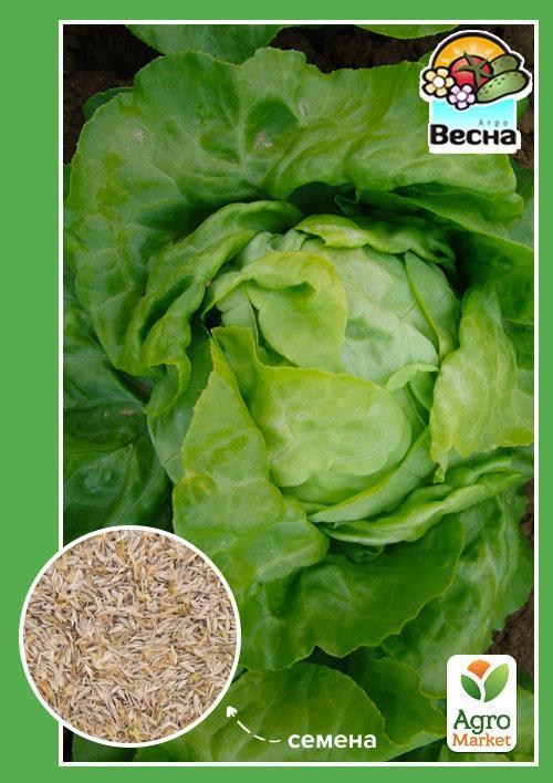 Салат "Берлинский желтый" ТМ "Весна" 1г