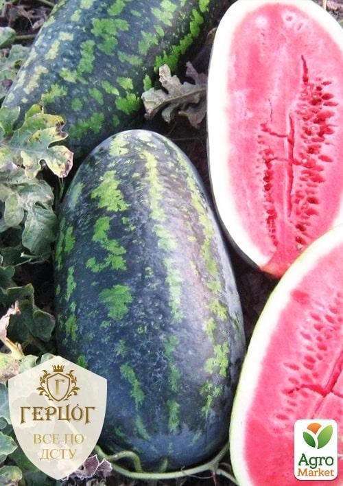 Арбуз "Герцог" "Фаворит" ТМ "Весна" 4г