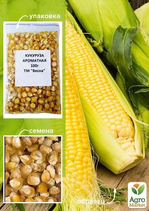 Кукурудза "Ароматна" ТМ "Весна" 100г