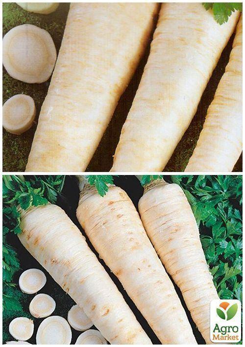 На развес Петрушка корневая "Сахарная" ТМ "Весна" цена за 5г - фото 2