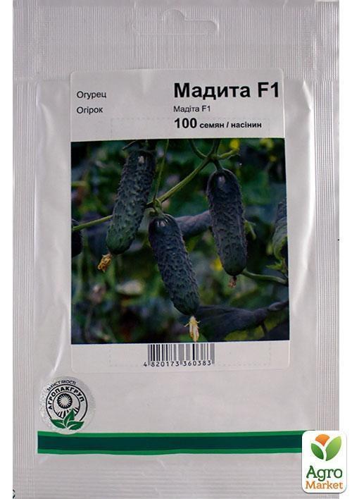 Огірок "Мадіта F1" ТМ "Nunhems" 100шт
