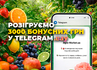 3000 бонусних гривень за підписку на Telegram-канал!