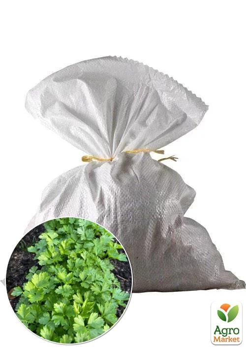 Петрушка "Богатир" ТМ Весна 3кг