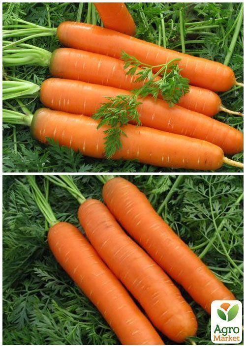 На вагу Морква "Нантська" ТМ "Весна" ціна за 10г - фото 2