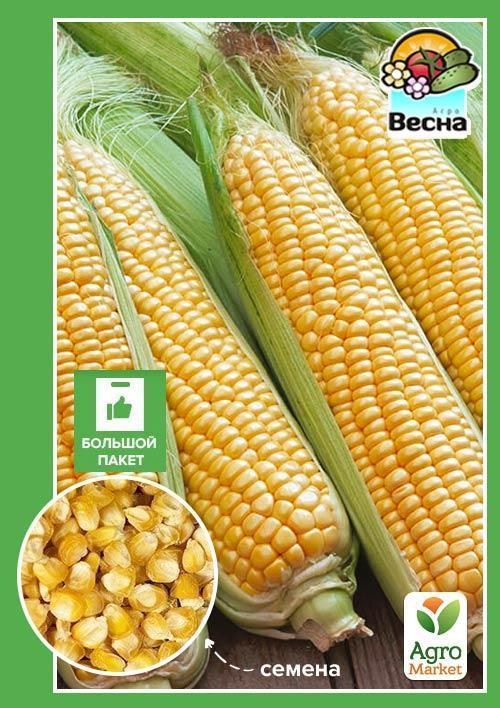Кукурудза "Любава F1" (Великий пакет) ТМ "Весна" 15 г