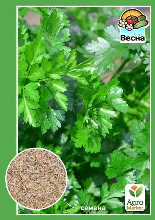 Крес-салат ТМ "Весна" 1г