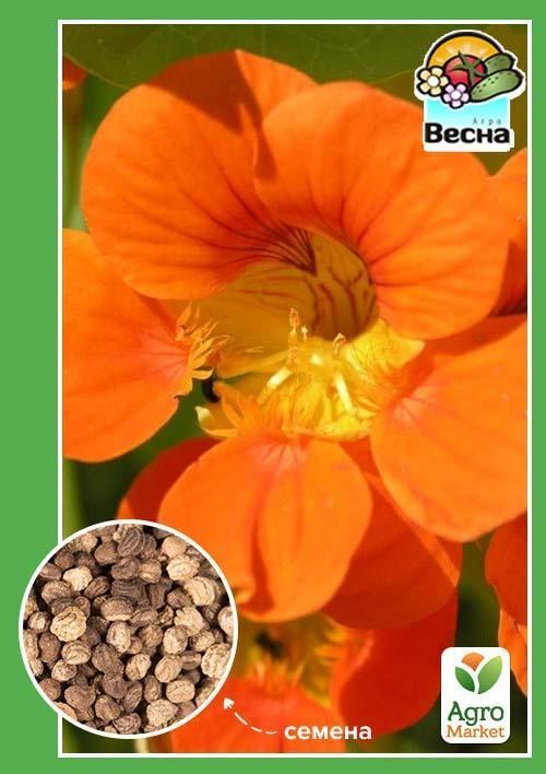 Настурція "Золотий блиск" ТМ "Весна" 0.5г