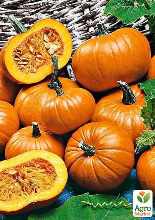 Гарбуз декоративний "Ошатна альтанка" ТМ "Vesna Select" 2г