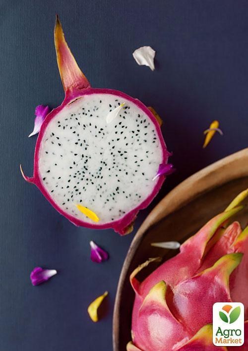 Пітахайя "Драконівський фрукт" ТМ "Vesna Exclusive" 5шт - фото 4