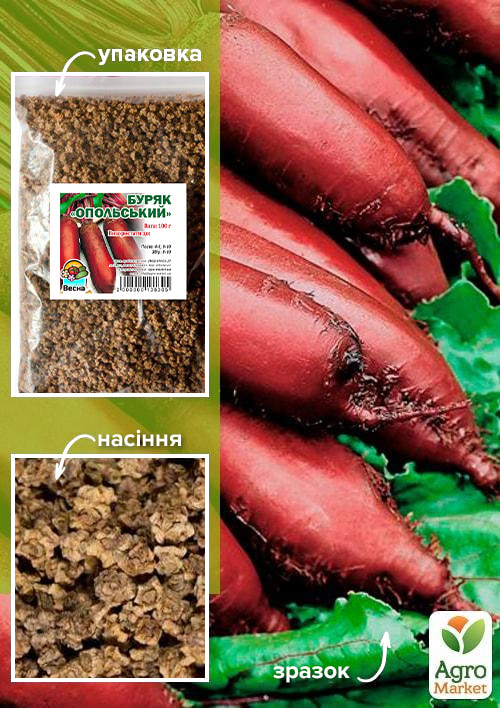 Свекла "Опольская" ТМ "Весна" 100г