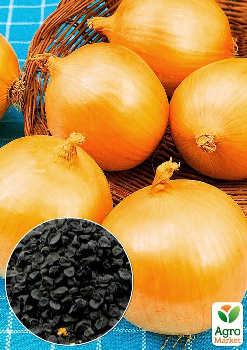 На вагу Цибуля "Барс" ТМ "Весна" ціна за 5г