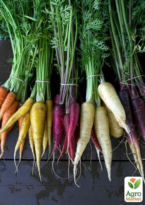 Морква "Веселка" ТМ "Vesna Exclusive" 40шт - фото 4