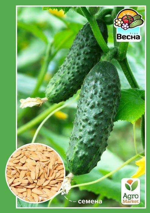 Огурец "Веселая компания" ТМ "Весна" 0,5г