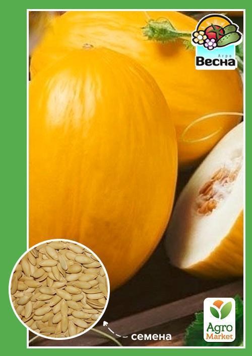 Диня "Криничанка" ТМ "Весна" 1,5г