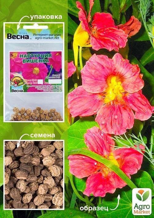 Настурція "Вишенька" (Зипер) ТМ "Весна" 2г