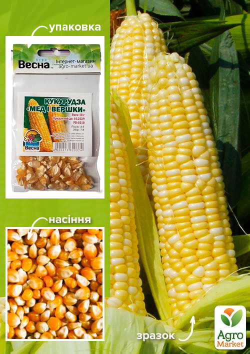 Кукурудза "Мед і вершки" (Зипер) ТМ "Весна" 10г