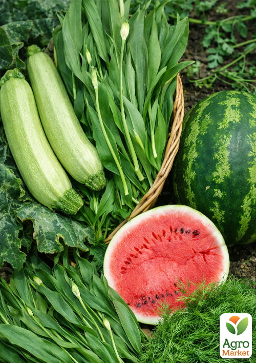 Комплект овощей в зипере "Хитовый" 15уп